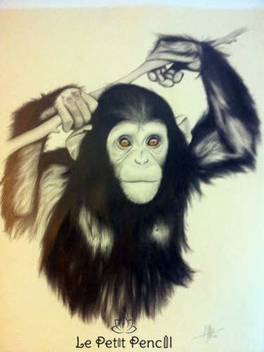 retrato a lapiz  le petit pencil rostro monkey 
